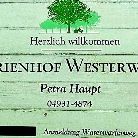 Apartment Westerwarf